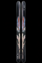 Load image into Gallery viewer, Dragonfly 100