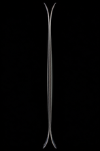 Load image into Gallery viewer, Dragonfly 100

